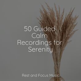 Album cover of 50 Guided Calm Recordings for Serenity