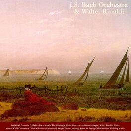 Album cover of Pachelbel: Canon in D Major - Bach: Air On the G String & Violin Concertos - Albinoni: Adagio - Walter Rinaldi: Works - Vivaldi: C