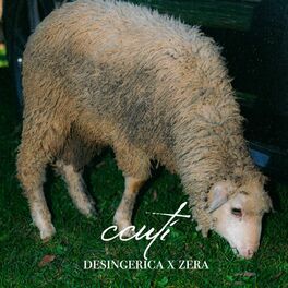Album cover of Ccuti