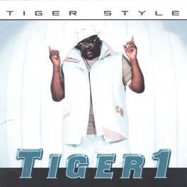 Album cover of Tiger Style