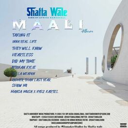 Album cover of MAALI