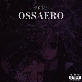 Album cover of OSSAERO