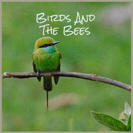 Album cover of Birds And The Bees