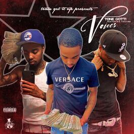 Album cover of Voices (feat. Touche)