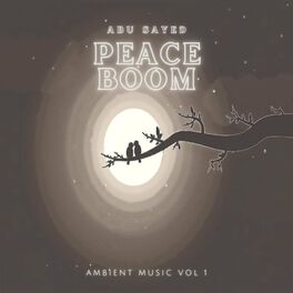 Album cover of PEACE BOOM