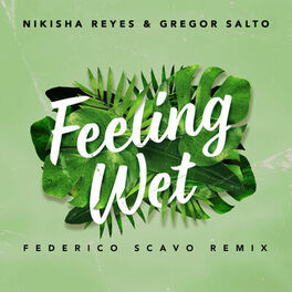 Album cover of Feeling Wet (Federico Scavo Remix)