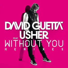 Album cover of Without You (feat. Usher) (Remixes)