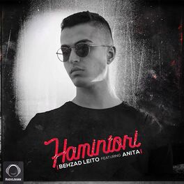 Album cover of Hamintori