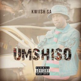 Album cover of UMSHISO (Main Mix)