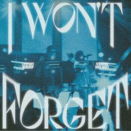 Album cover of I Won't Forget