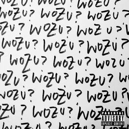 Album cover of Wozu