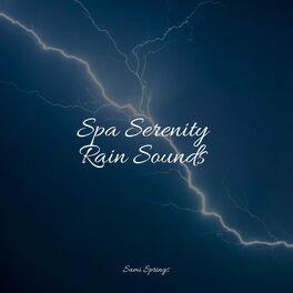 Album cover of Spa Serenity Rain Sounds