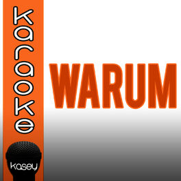 Album cover of Warum (inkl. Karaoke-Version)