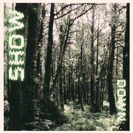 Album cover of SHOWDOWN