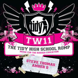 Album cover of Tidy Weekender 11: The Tidy High School Romp