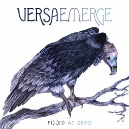 Album cover of Fixed At Zero