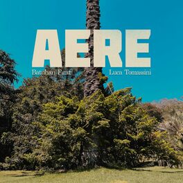 Album cover of Aere