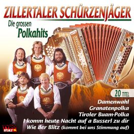 Album cover of Die grossen Polkahits