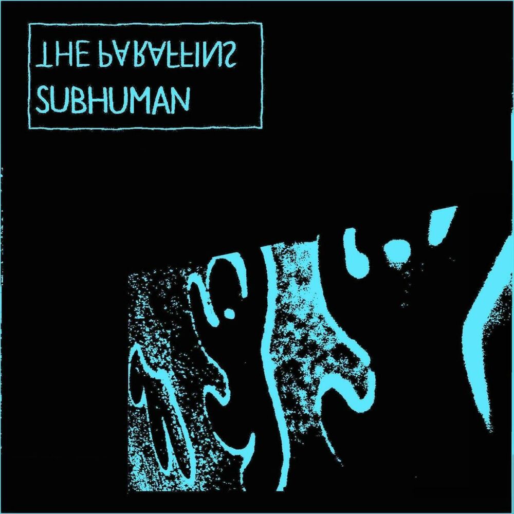 Subhuman. Subhuman обложка. Subhuman Song. Subhuman text. DMC subhuman текст.