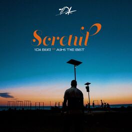 Album cover of Soretul