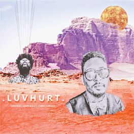 Album cover of Luv Hurt (feat. Chris Turner)