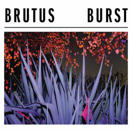 Album cover of Burst