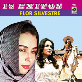 Album cover of 15 Éxitos