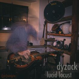 Album cover of Lucid Locust
