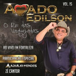 Album cover of Ao Vivo em Fortaleza, Vol. 15