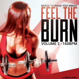 Album cover of Feel the Burn, Vol. 2 (160BPM)