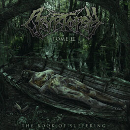 Album cover of The Book of Suffering - Tome II