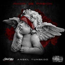 Album cover of Amor de Pasion