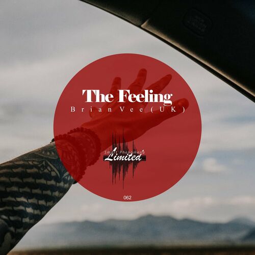  Brian Vee (UK) - The Feeling (2023) 