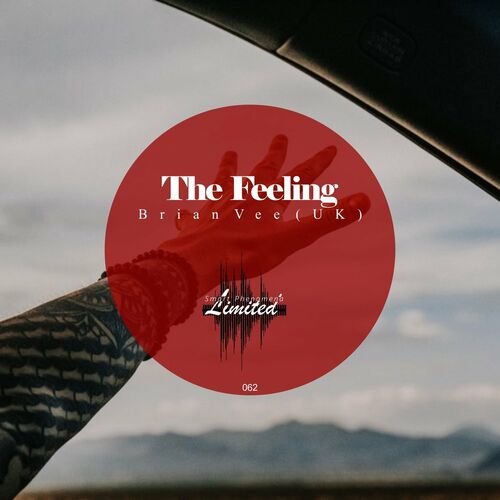 VA - Brian Vee (UK) - The Feeling (2023) (MP3)