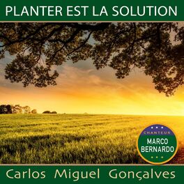 Album cover of Planter est la solution