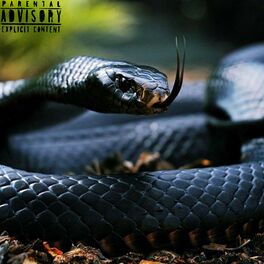 Album cover of King Cobra (feat. UZI)