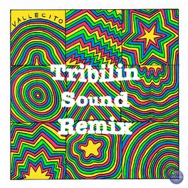 Album cover of Vallecito (Tribilín Sound Remix)