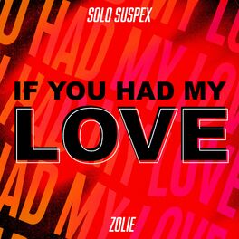 Album cover of If You Had My Love (feat. Zolie)