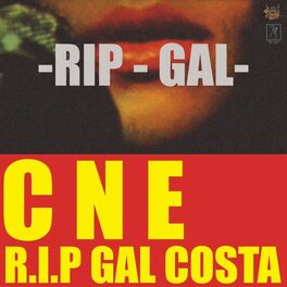 Album cover of R.I.P Gal Costa