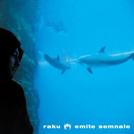 Album cover of Emite Semnale