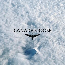 Album cover of Canada Goose
