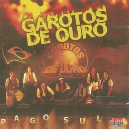Album cover of Pago Sul