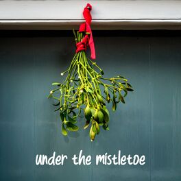 Album cover of Under The Mistletoe