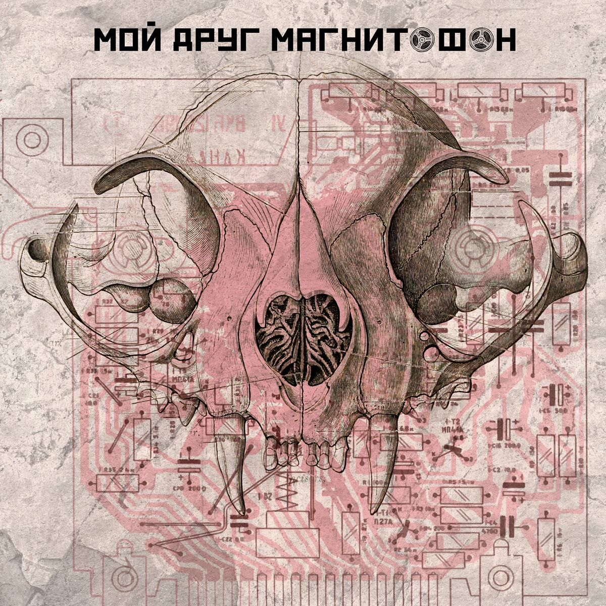 Molchat Doma - Обречен / Obrechen: listen with lyrics | Deezer