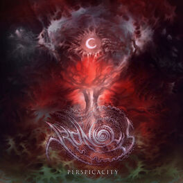 Album cover of Perspicacity
