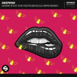 Album cover of Desire (feat. She Keeps Bees) (Olympis Remix)