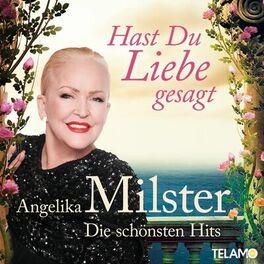Album cover of Hast du Liebe gesagt