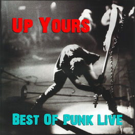 Album cover of Up Yours, Best of Punk (Live)