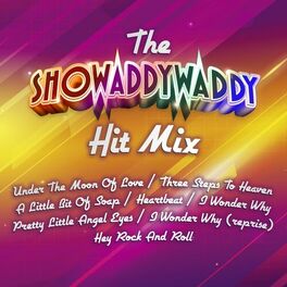 Album cover of The Showaddywaddy Hit Mix