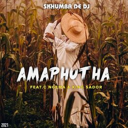 Album cover of Amaphutha (feat. C Ngema & King Sador)